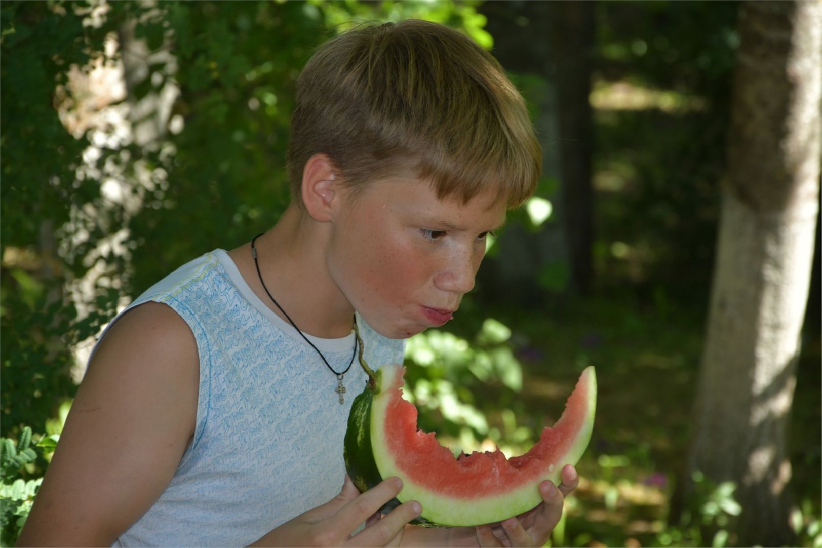Арбузный праздник, сладкий август, наро-фоминск,