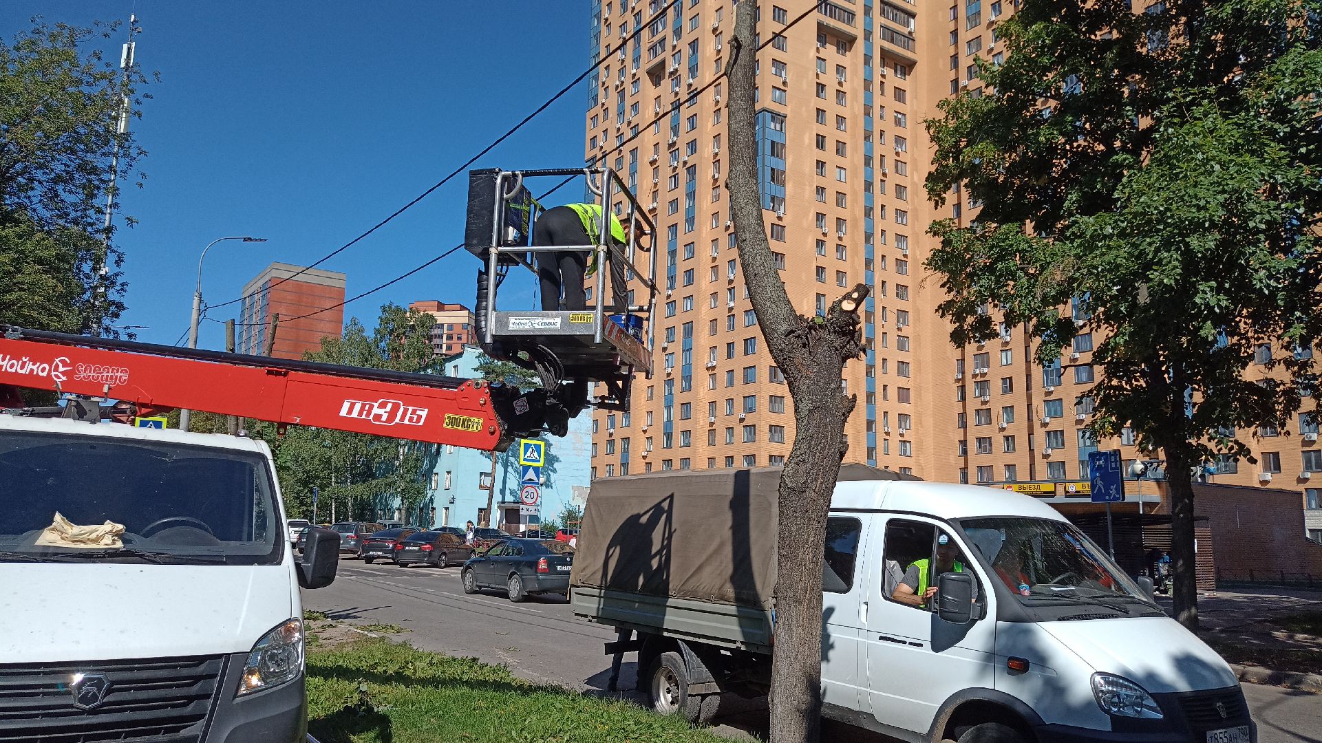 Реутов, благоустройство, тополя, торсада, фонари