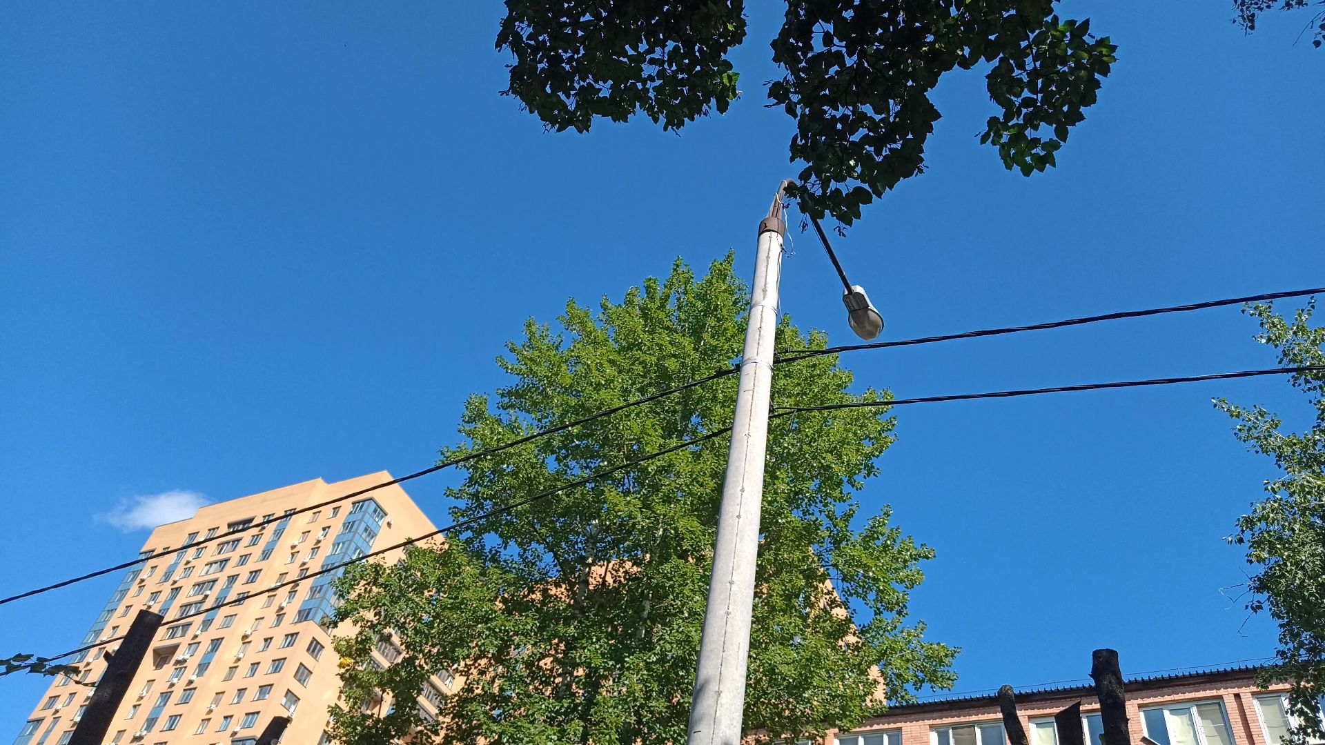 Реутов, благоустройство, тополя, торсада, фонари