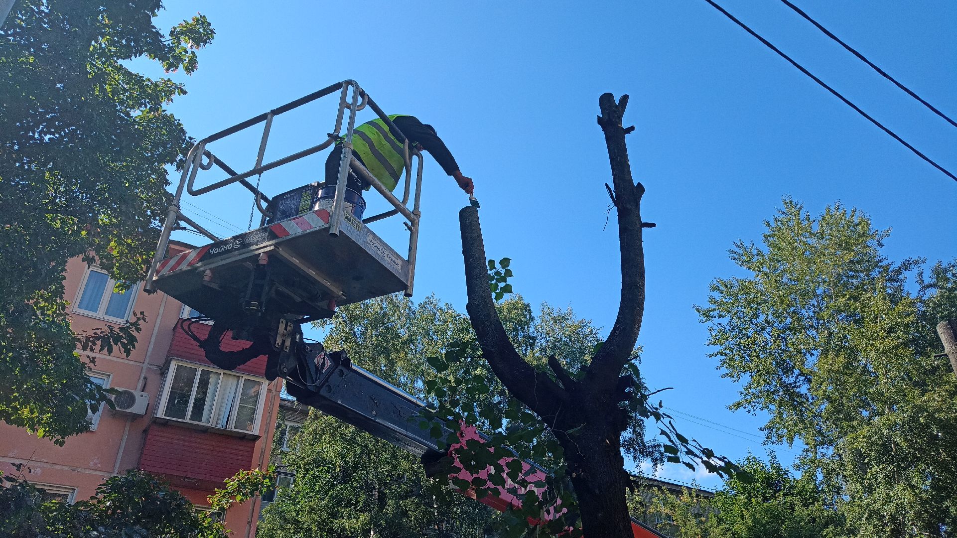 Реутов, благоустройство, тополя, торсада, фонари