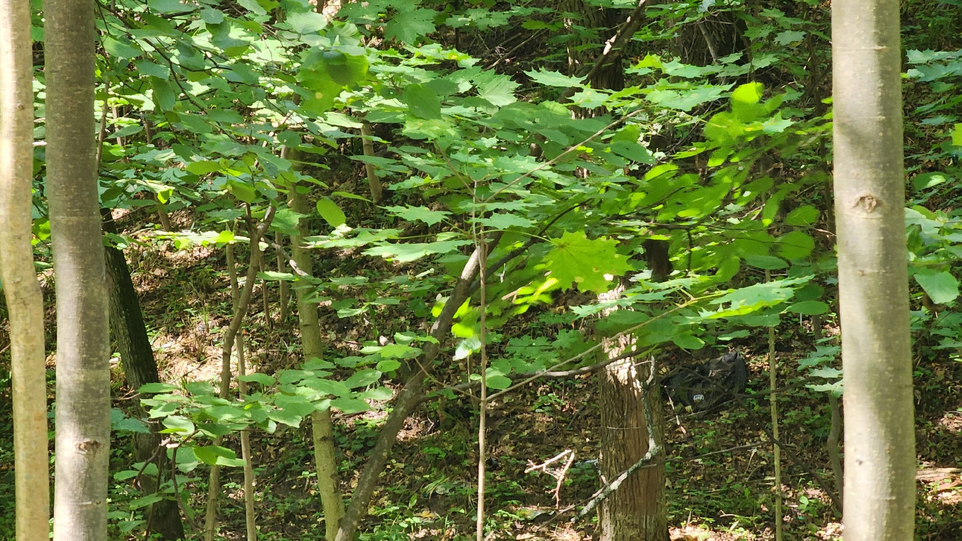 Ступино, парки подмосковья, парк Островского