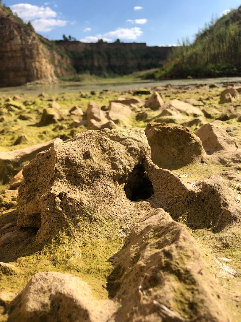 Домодедово, карьер, раскопки, археологи, палеонтологи, геология, экскурсия