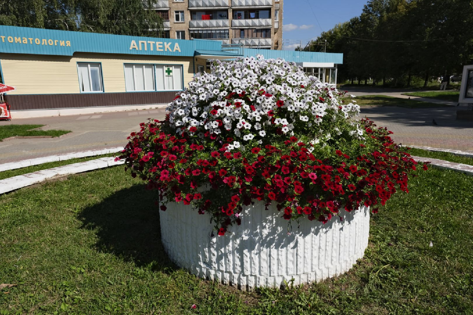 Пущино, цветы,