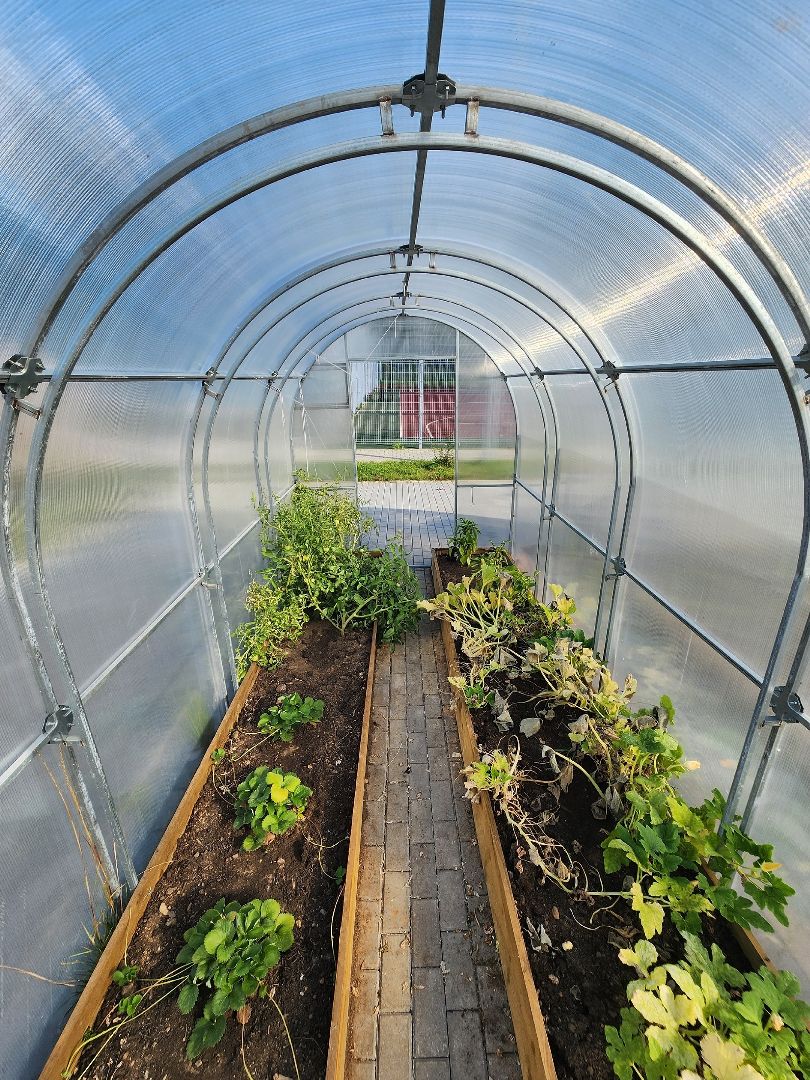 Солнечногорск, спорт, стадион, губернаторская программа, общество