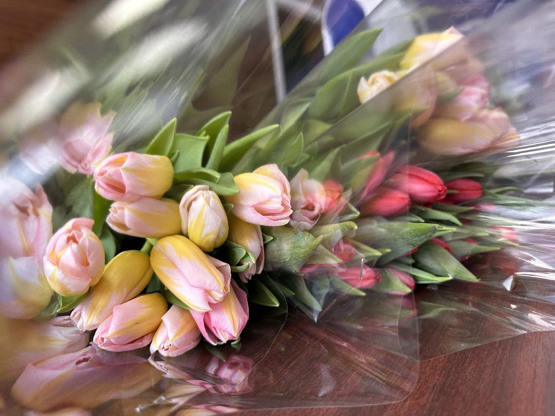 Одинцово, Единая Россия, Волонтёры, Общественники