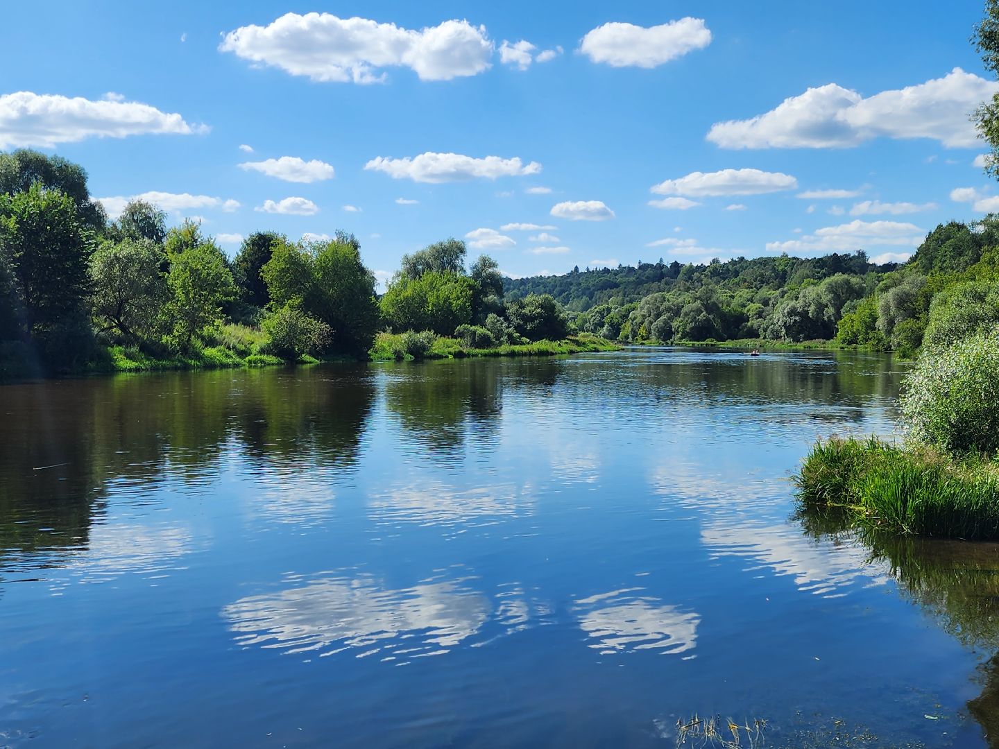 Звенигород, безопасность на воде, благоустройство пляжей