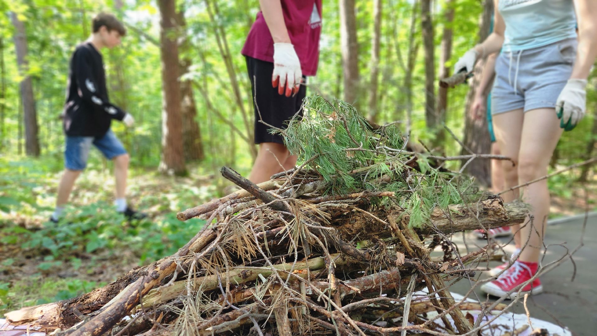 трудовые бригады, Протвино, ЦМИ, санитарная очистка, лагерь