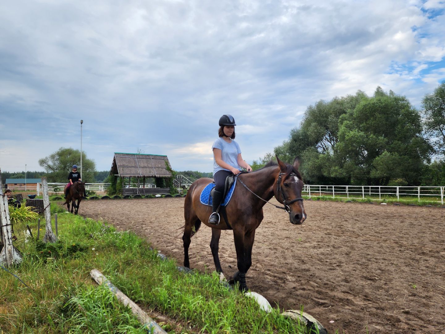 Воскресенск, лошади, животные