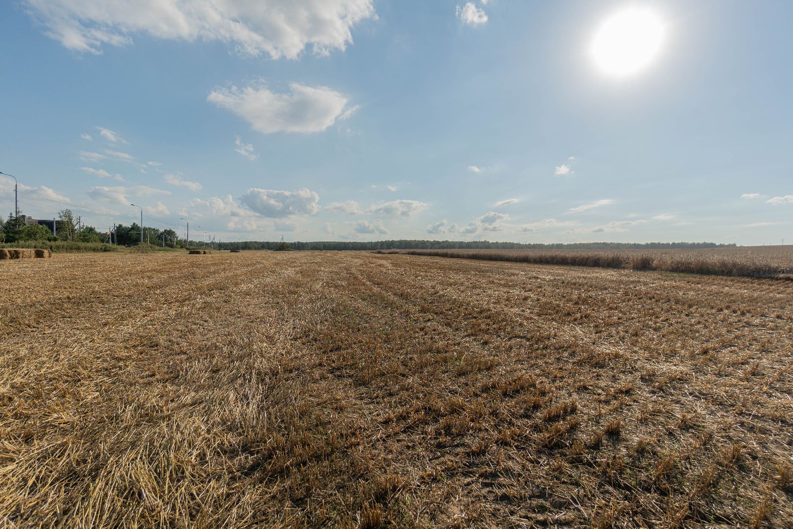 племзавод Барыбино, Домодедово