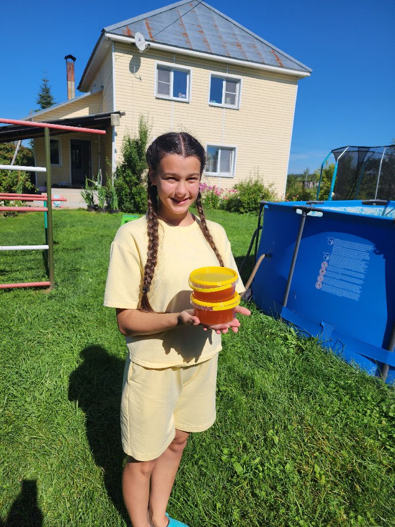 Красноармейск, Пушкинский, натуральный мед, пасека, пасечник