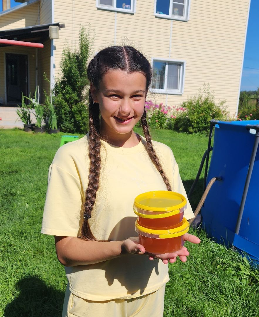 Красноармейск, Пушкинский, натуральный мед, пасека, пасечник