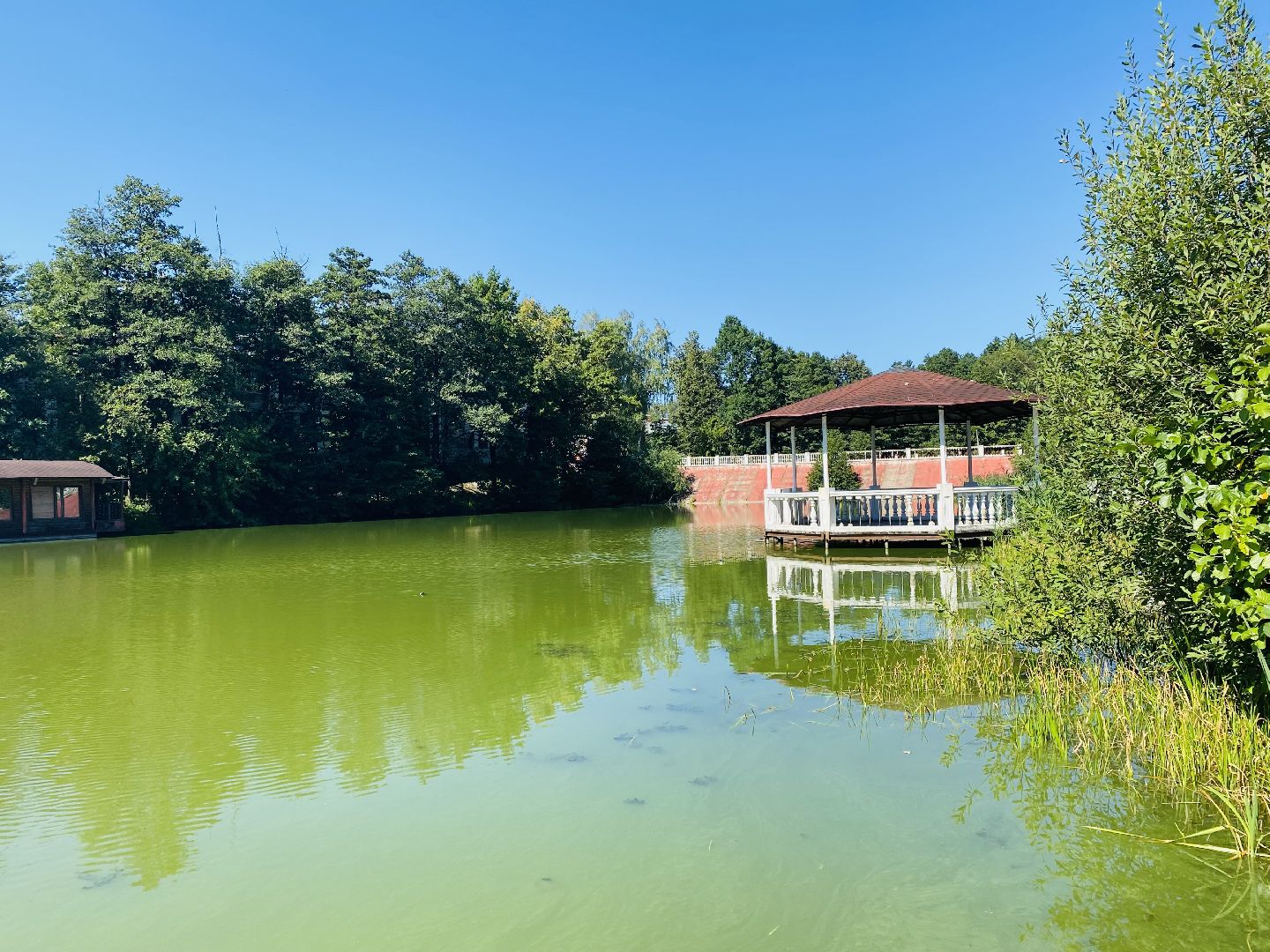 Балашиха, Жёлтый пруд, микрорайон Салтыковка