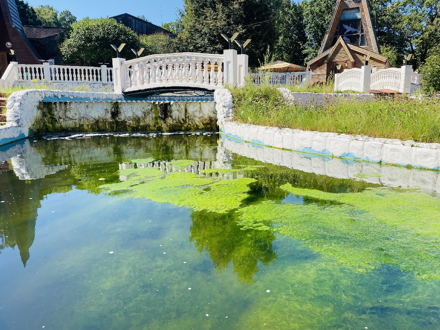 Балашиха, Жёлтый пруд, микрорайон Салтыковка
