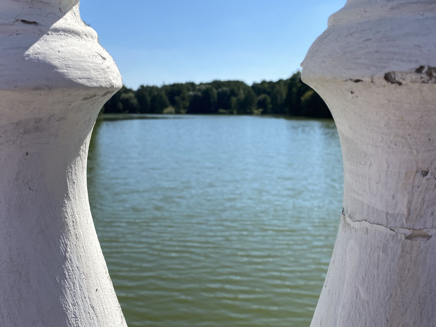 Балашиха, Жёлтый пруд, микрорайон Салтыковка