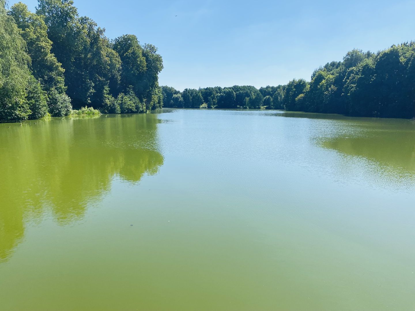 Балашиха, Жёлтый пруд, микрорайон Салтыковка