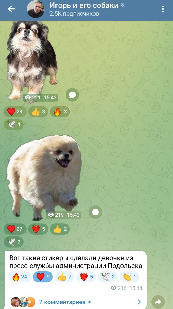 Подольск, стикеры, мессенджер, собаки, зоозащтник, пристройство