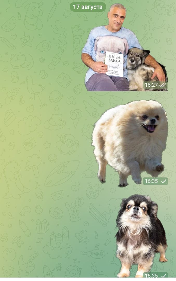 Подольск, стикеры, мессенджер, собаки, зоозащтник, пристройство