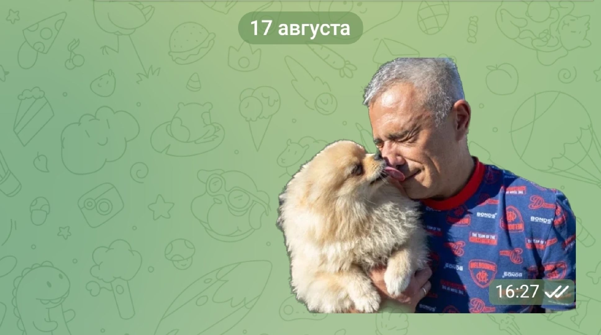 Подольск, стикеры, мессенджер, собаки, зоозащтник, пристройство