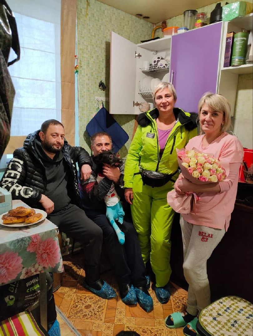 Подольск, стикеры, мессенджер, собаки, зоозащтник, пристройство