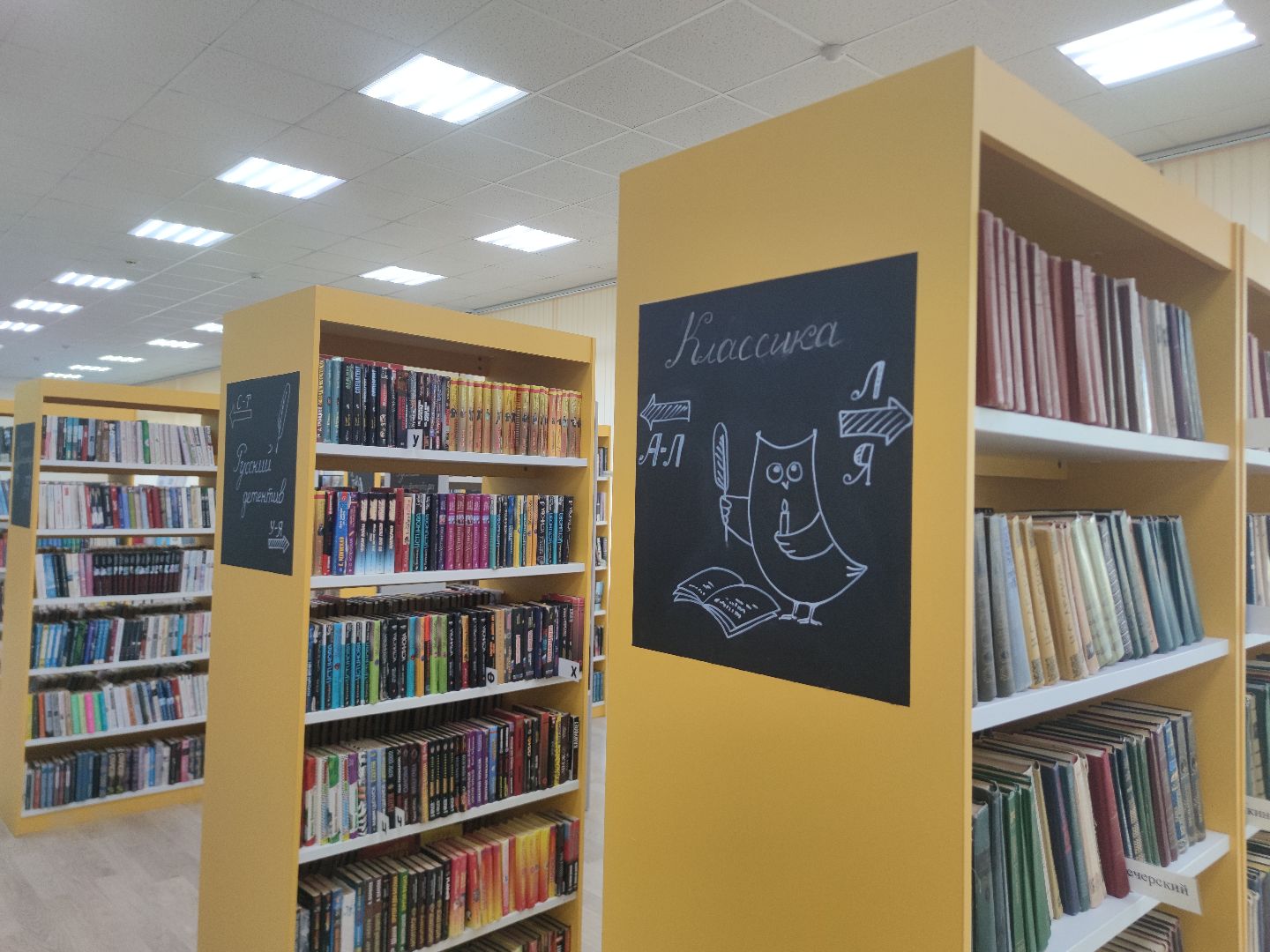 Библиотека Левобережья, книги, детективы, Дубна