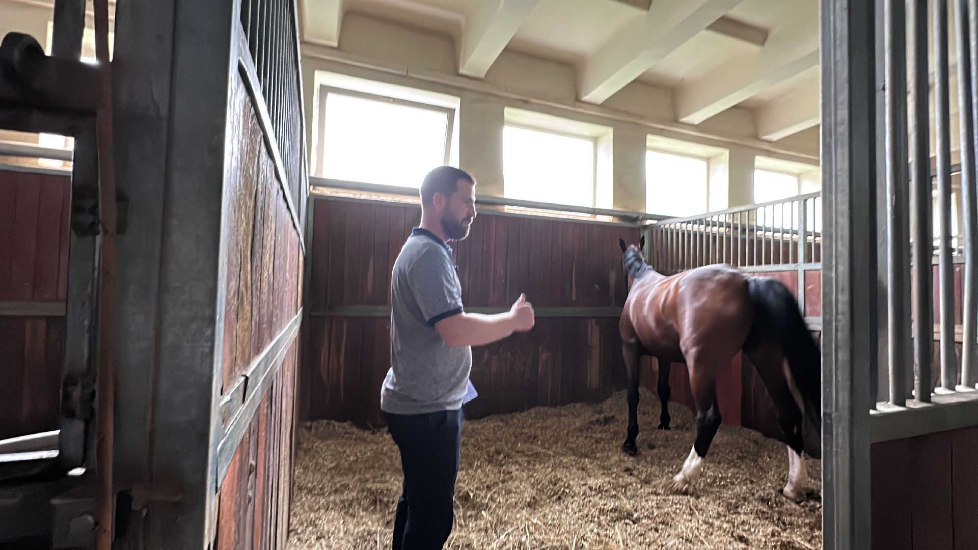 Одинцово, Горки-10, МКЗ 1, Орловские рысаки, Конкур