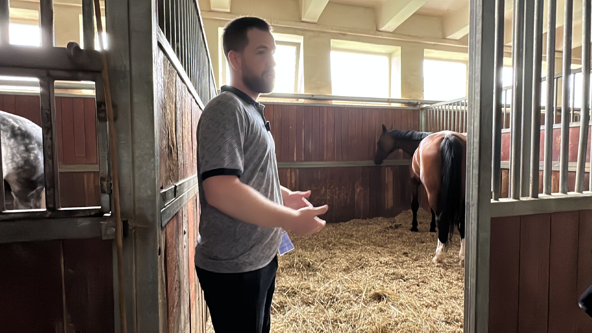 Одинцово, Горки-10, МКЗ 1, Орловские рысаки, Конкур