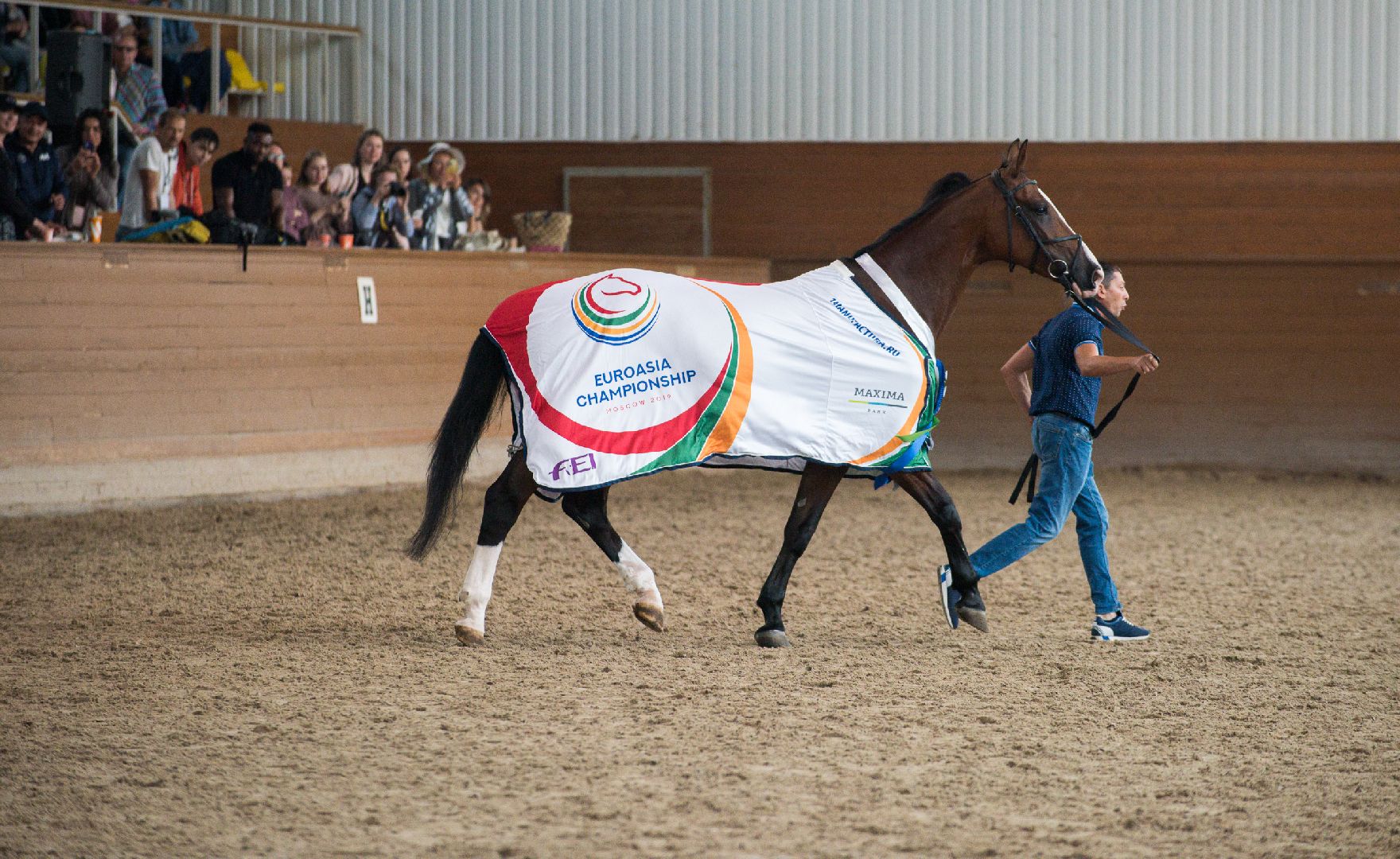Одинцово, Горки-10, МКЗ 1, Орловские рысаки, Конкур