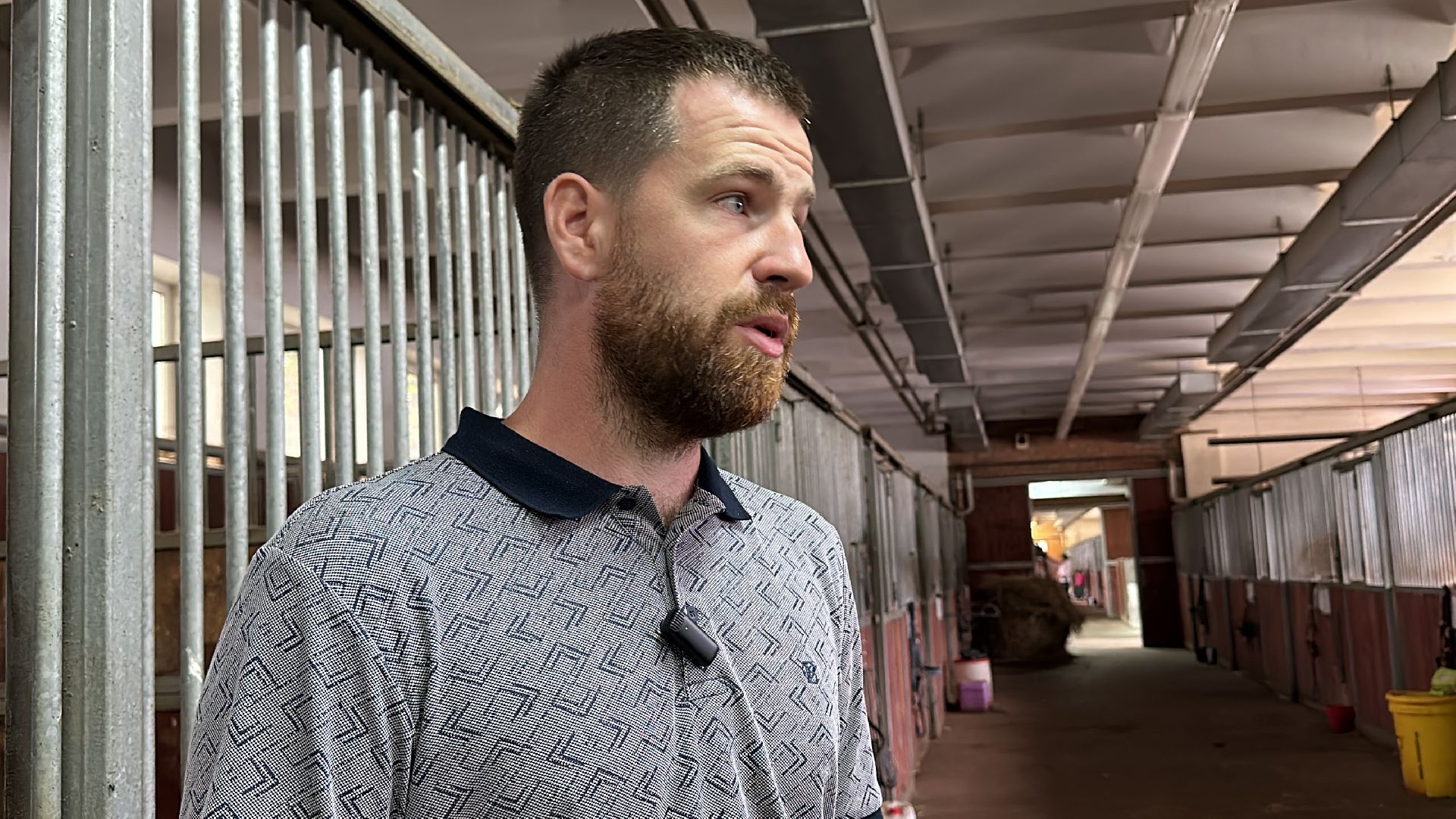 Одинцово, Горки-10, МКЗ 1, Орловские рысаки, Конкур