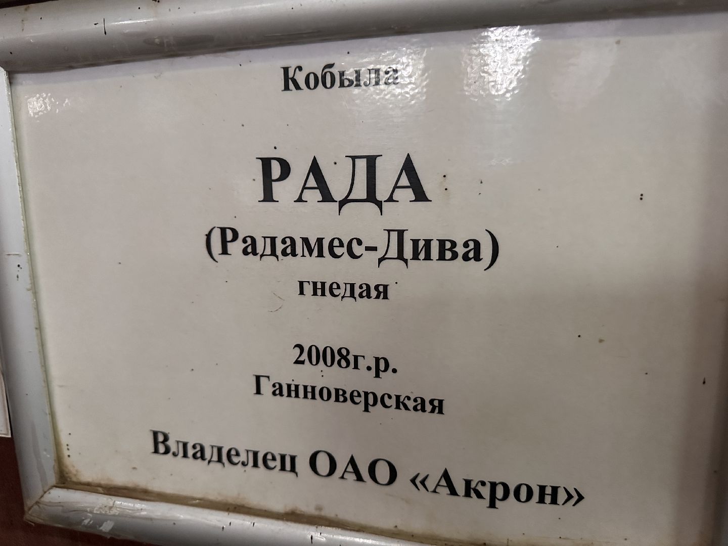 Одинцово, Горки-10, МКЗ 1, Орловские рысаки, Конкур