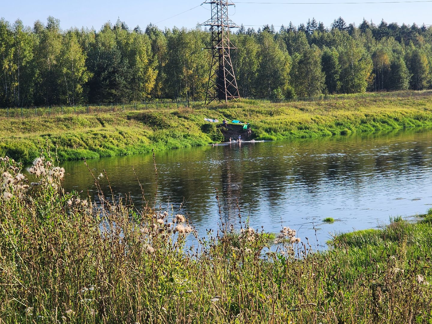 Звенигород, туризм, Каринское, экскурсионный маршрут по подвесным мостам, Дети понедельника, Алла Сурикова, мост