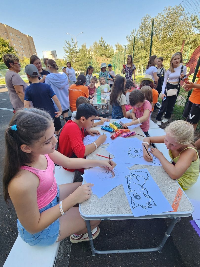 Солнечногорск, Подсолнух, волонтеры, дети, общество