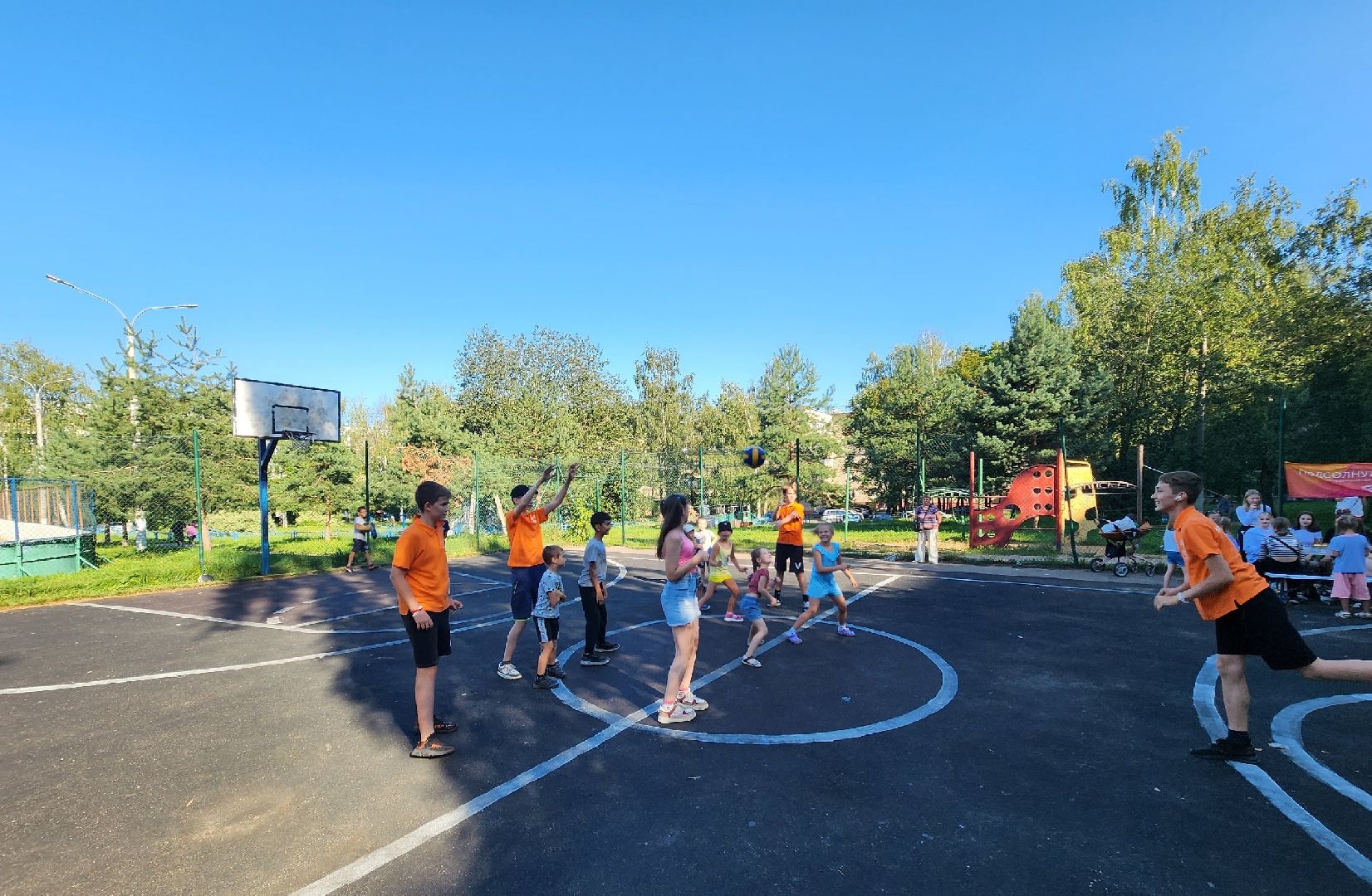 Солнечногорск, Подсолнух, волонтеры, дети, общество