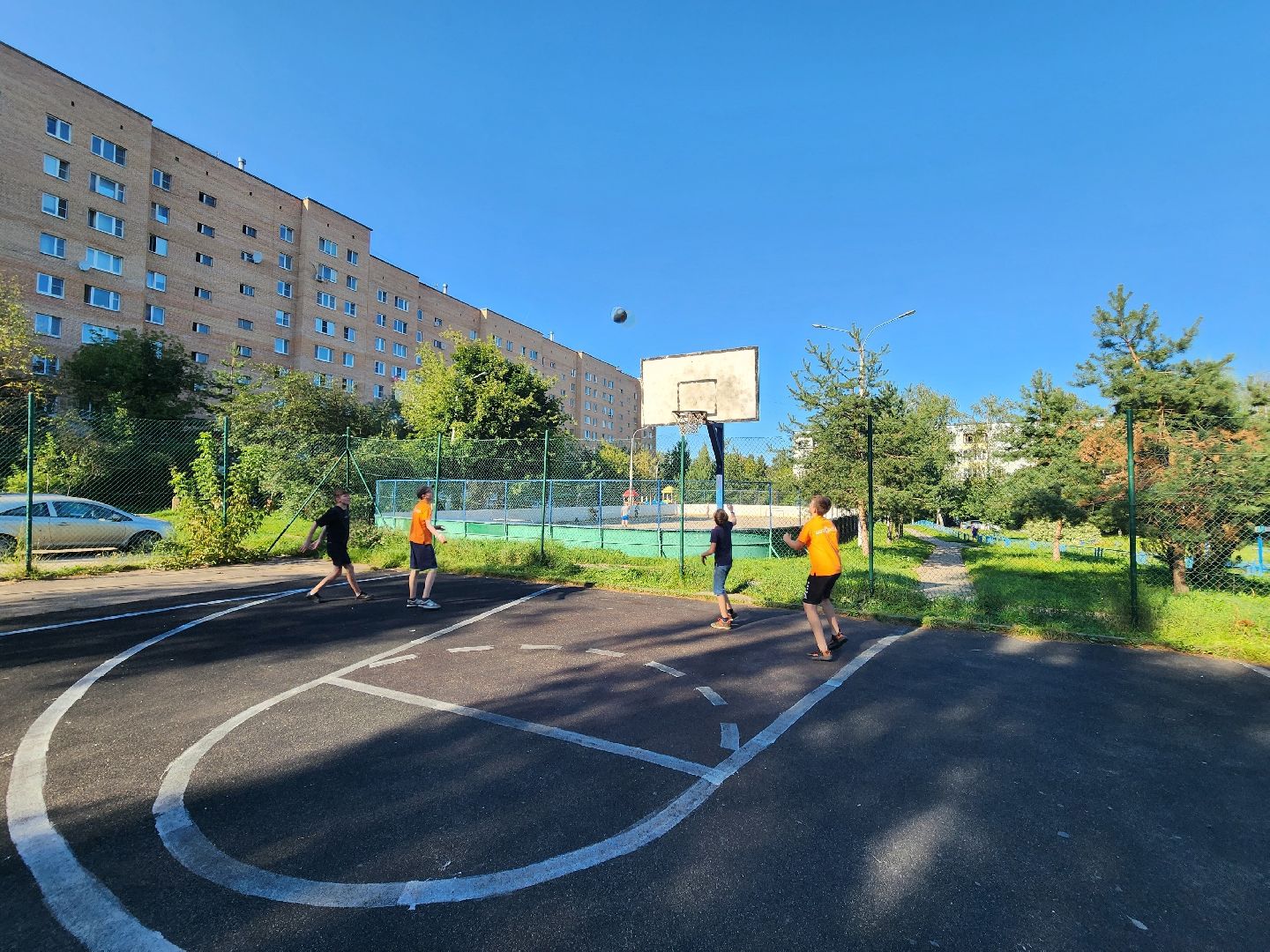 Солнечногорск, Подсолнух, волонтеры, дети, общество