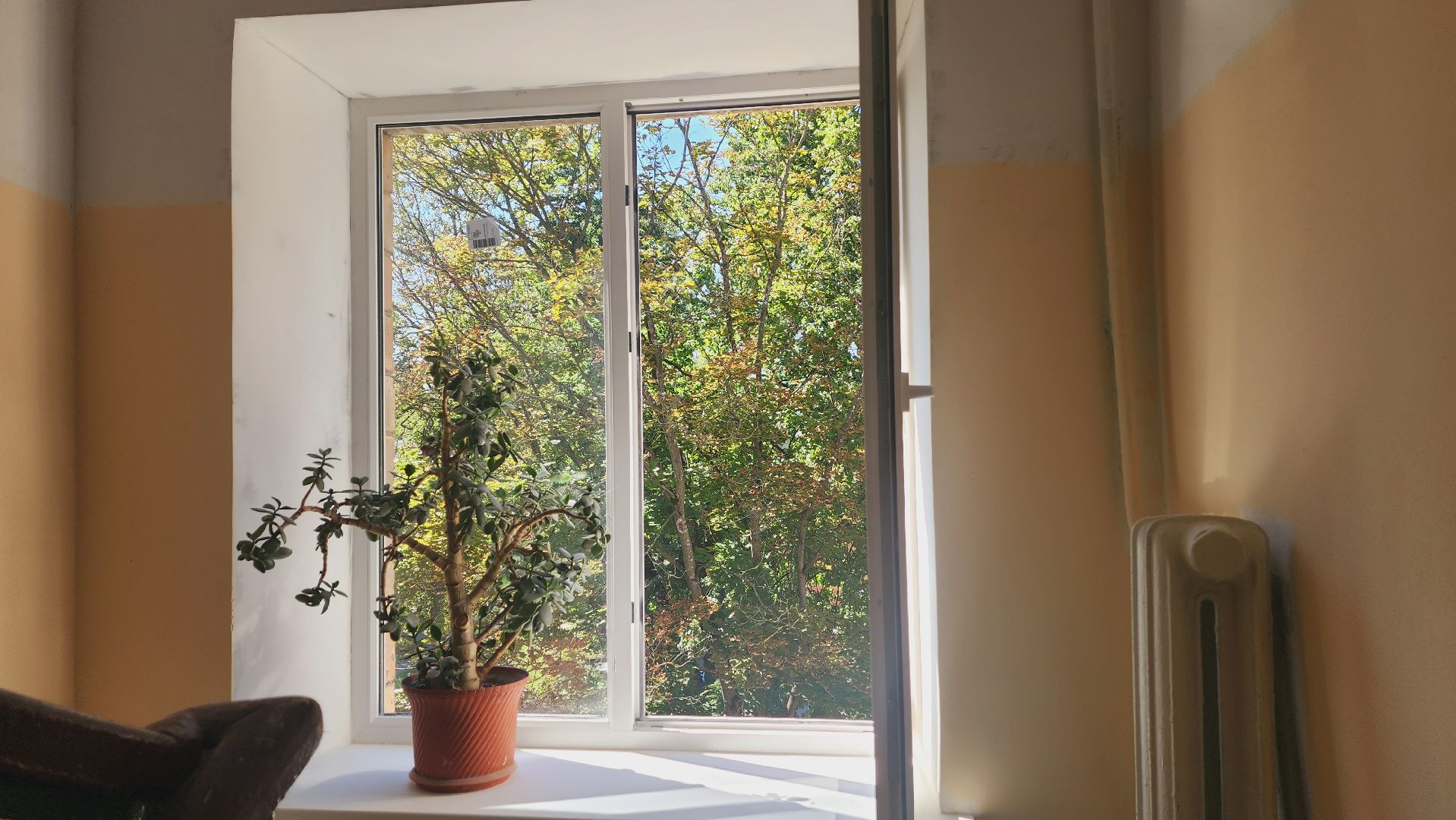 Подмосковье, Ивантеевка, благоустройство