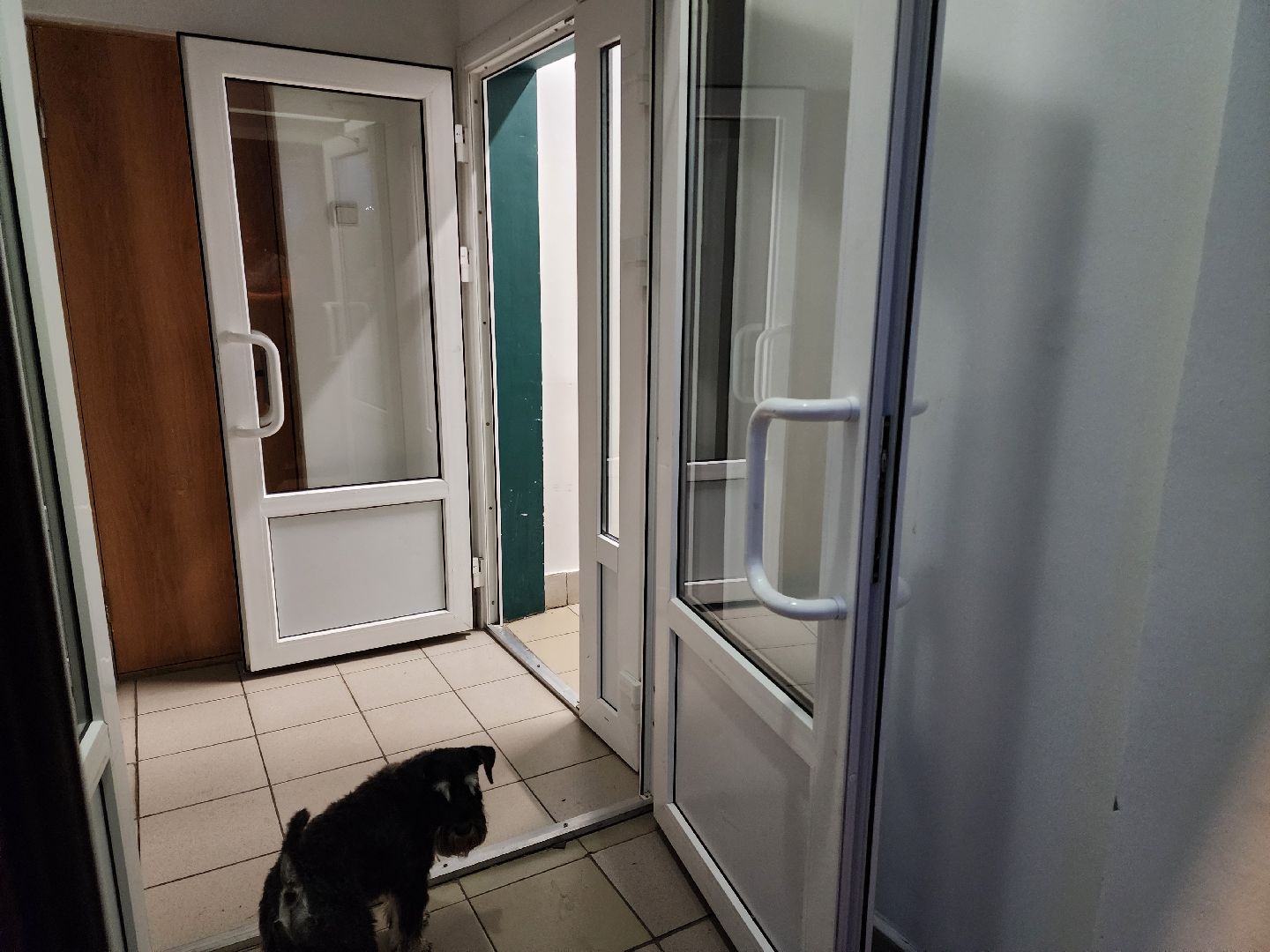 Подольск, лучший подъезд, поездка, экскурсия, соседи