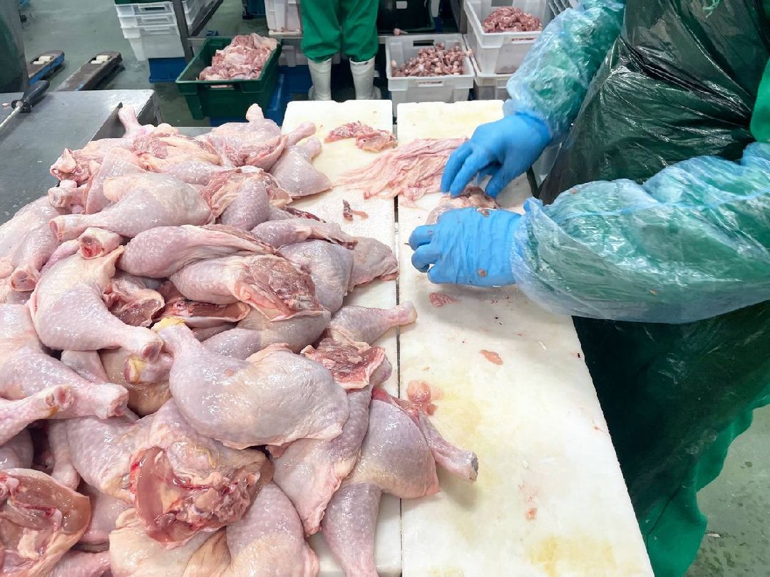 Сергиев Посад