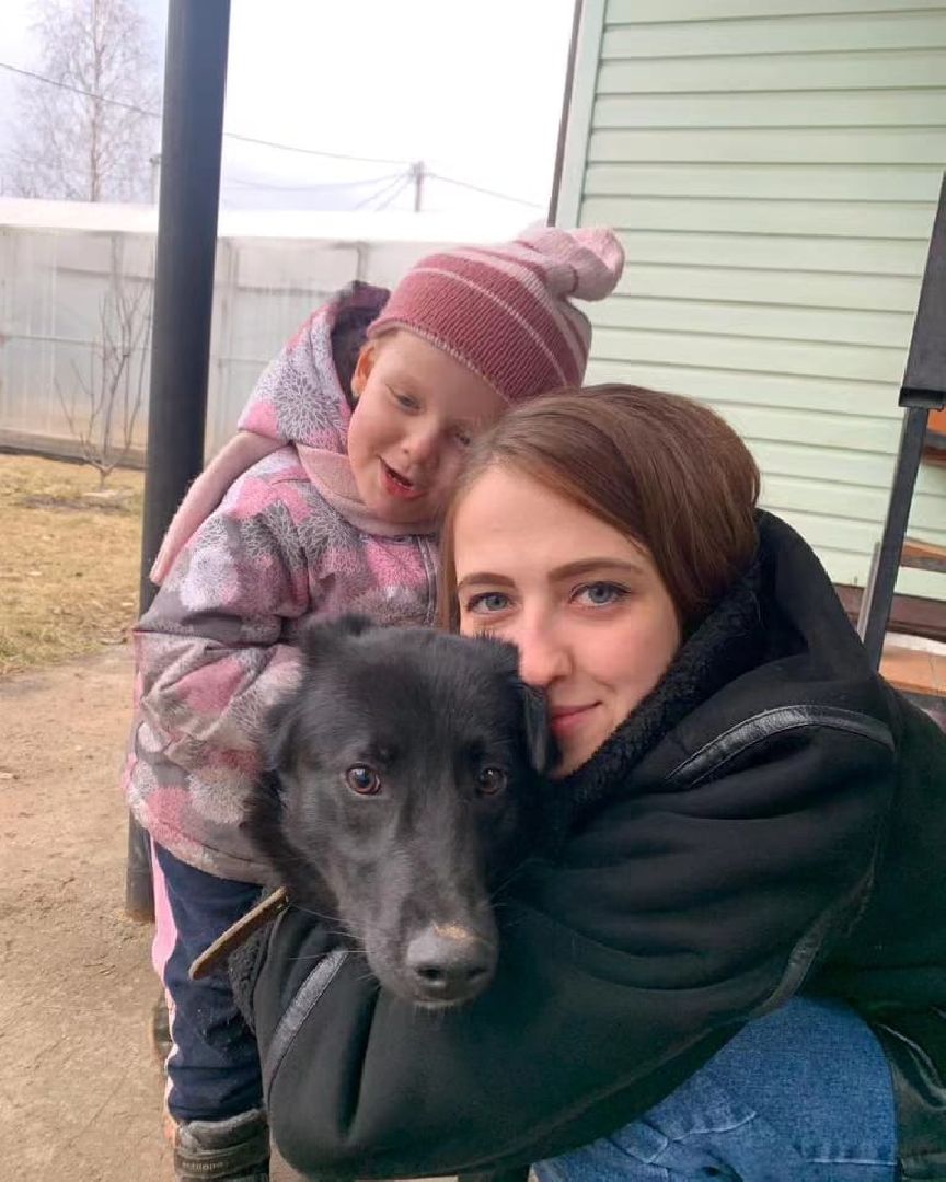 животные, волонтеры, ивантеевка, доброе дело,