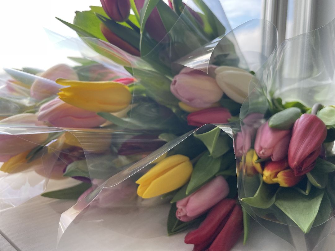 Сергиев Посад, Сергиево-Посадский городской округ, 8 марта, Международный женский день, Праздник, МособлДума