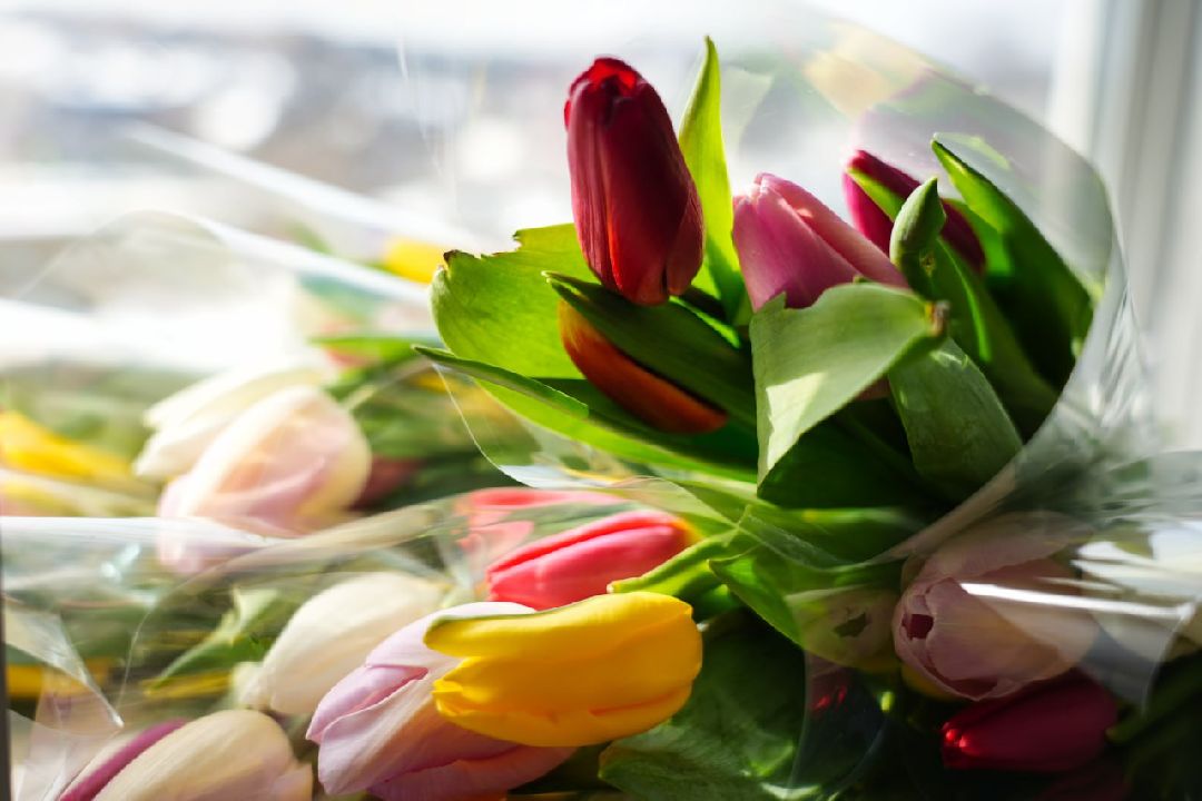 Сергиев Посад, Сергиево-Посадский городской округ, 8 марта, Международный женский день, Праздник, МособлДума