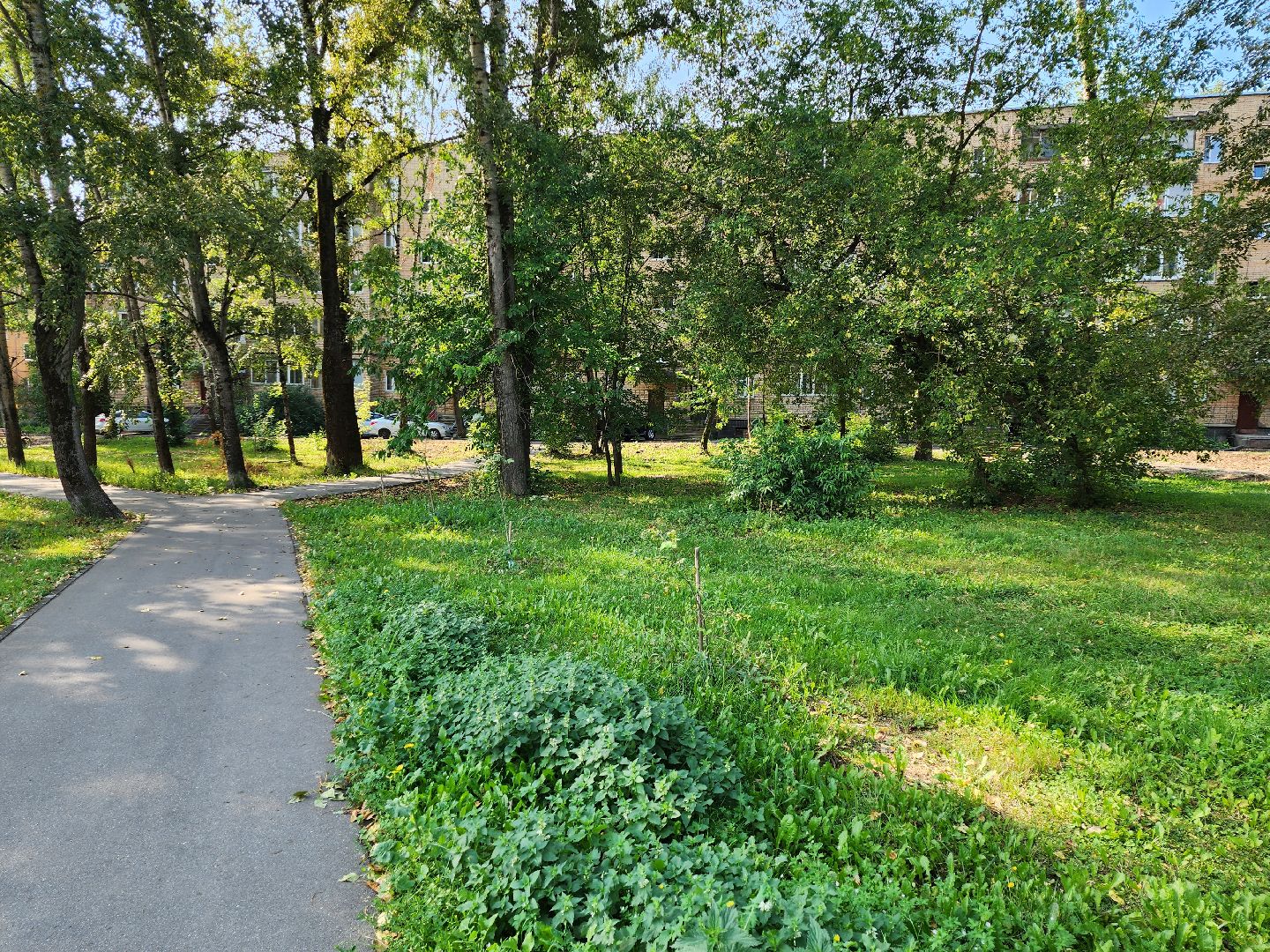 Серпухов, Подмосковье, благоустройство, ворк-аут, губернатор