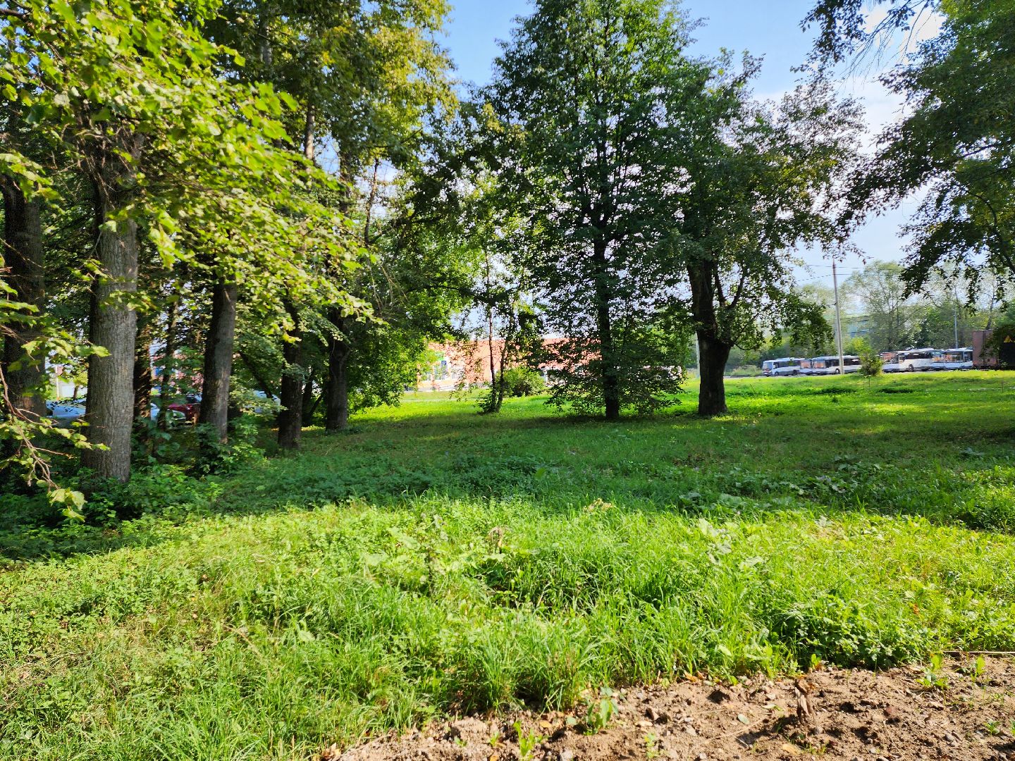 Серпухов, Подмосковье, благоустройство, ворк-аут, губернатор