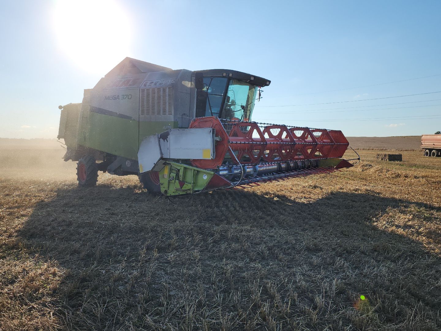 озимые, племзавод Барыбино, Домодедово