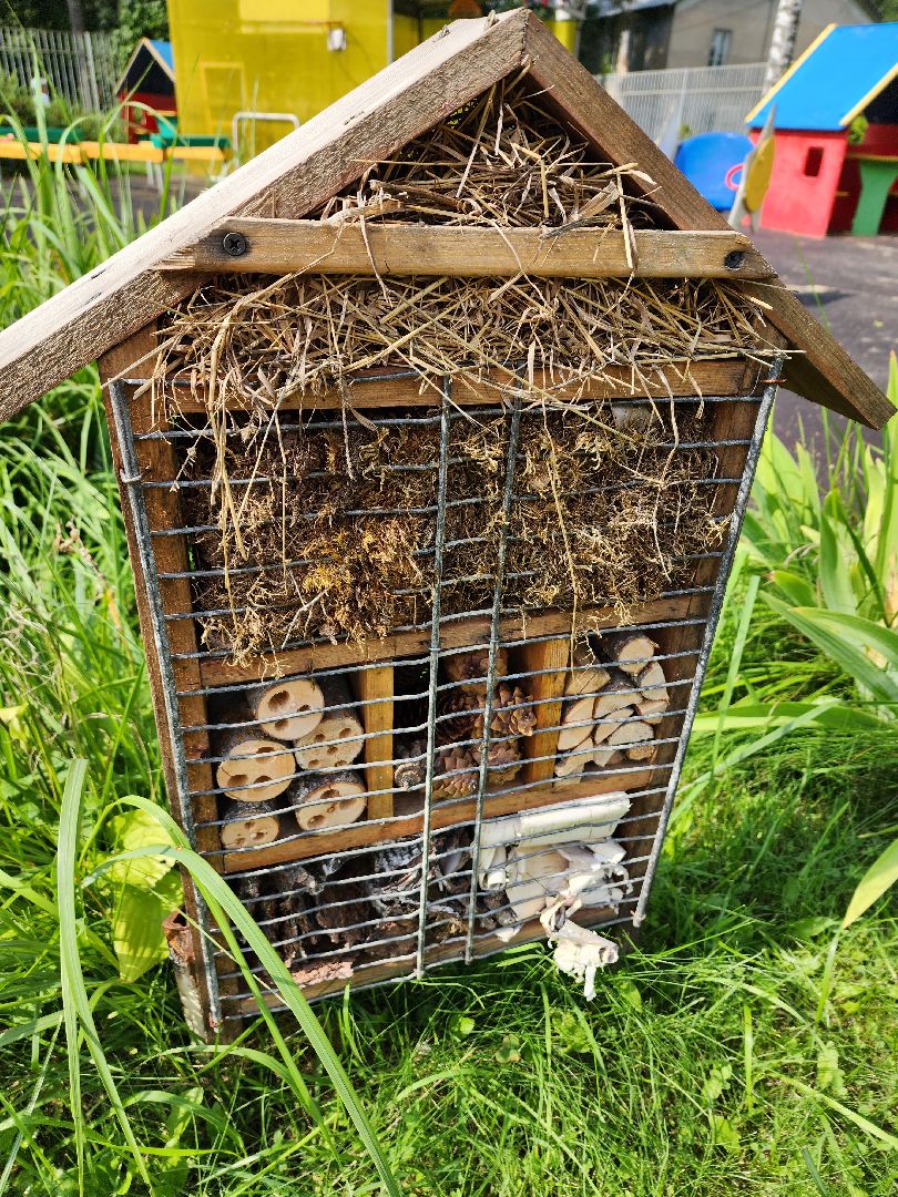 Красноармейск, Пушкинский, экология, образование, отели для насекомых