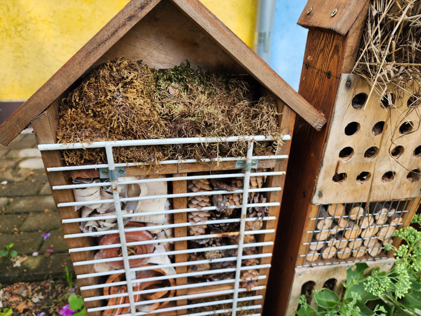 Красноармейск, Пушкинский, экология, образование, отели для насекомых