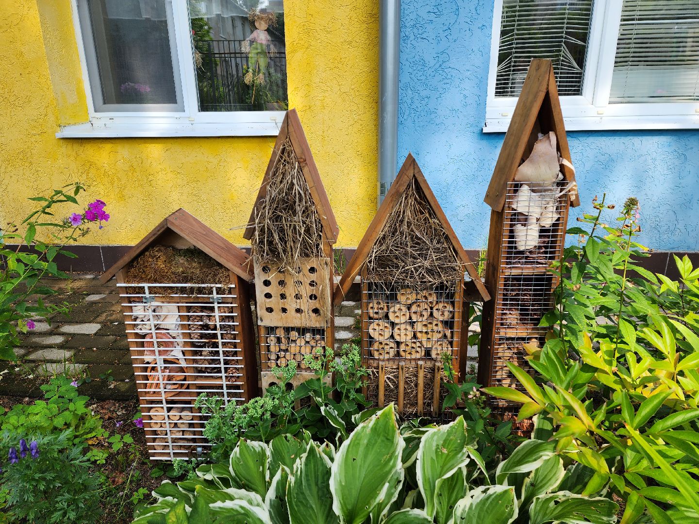 Красноармейск, Пушкинский, экология, образование, отели для насекомых