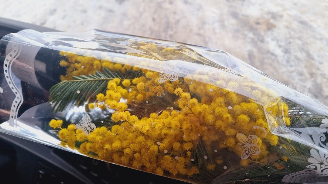 Подмосковье, Ивантеевка, транспорт