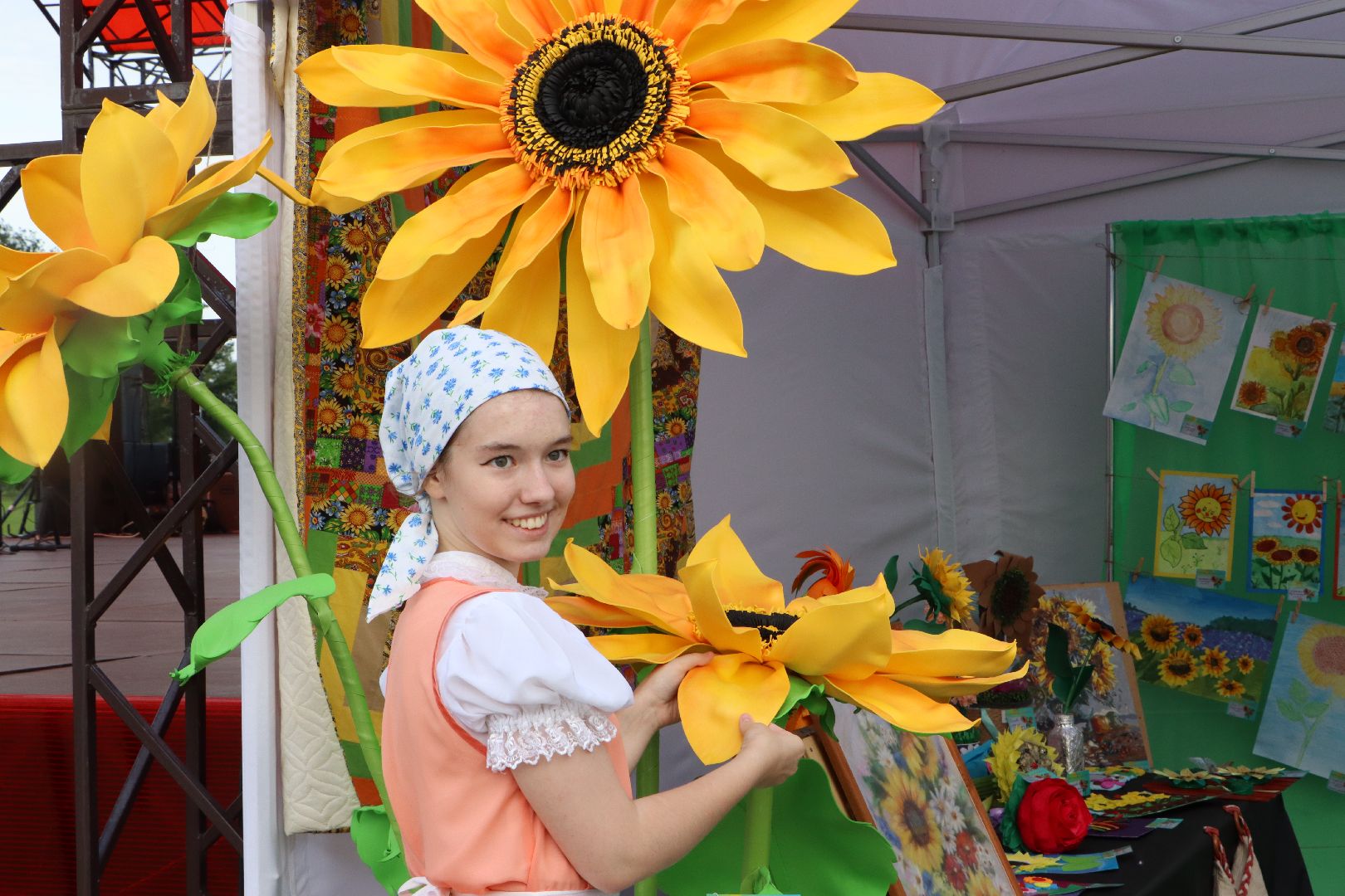 Серебряные Пруды, подсолнечник, Бокарев