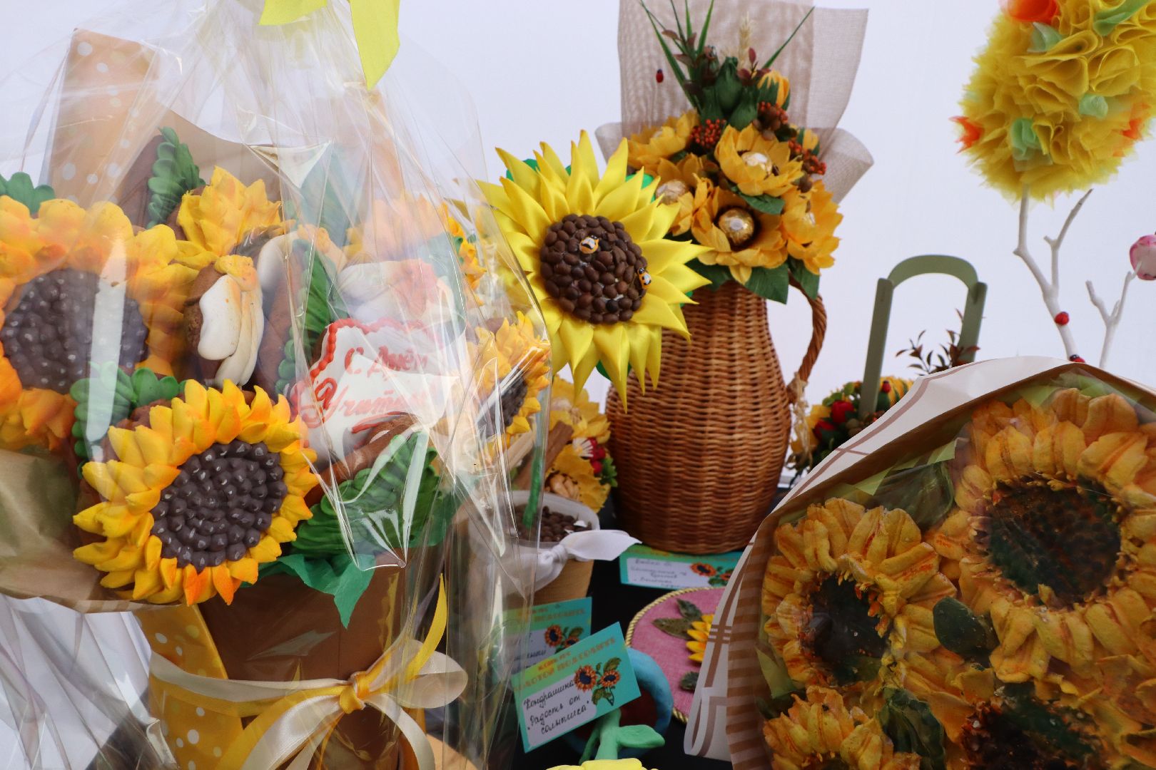 Серебряные Пруды, подсолнечник, Бокарев