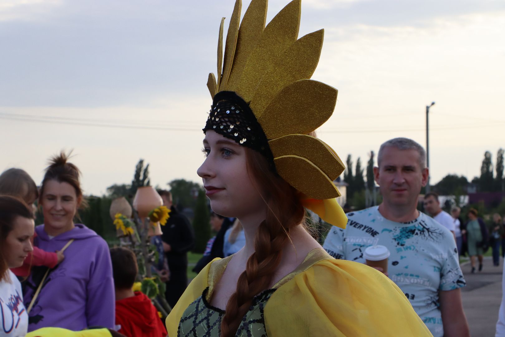 Серебряные Пруды, подсолнечник, Бокарев