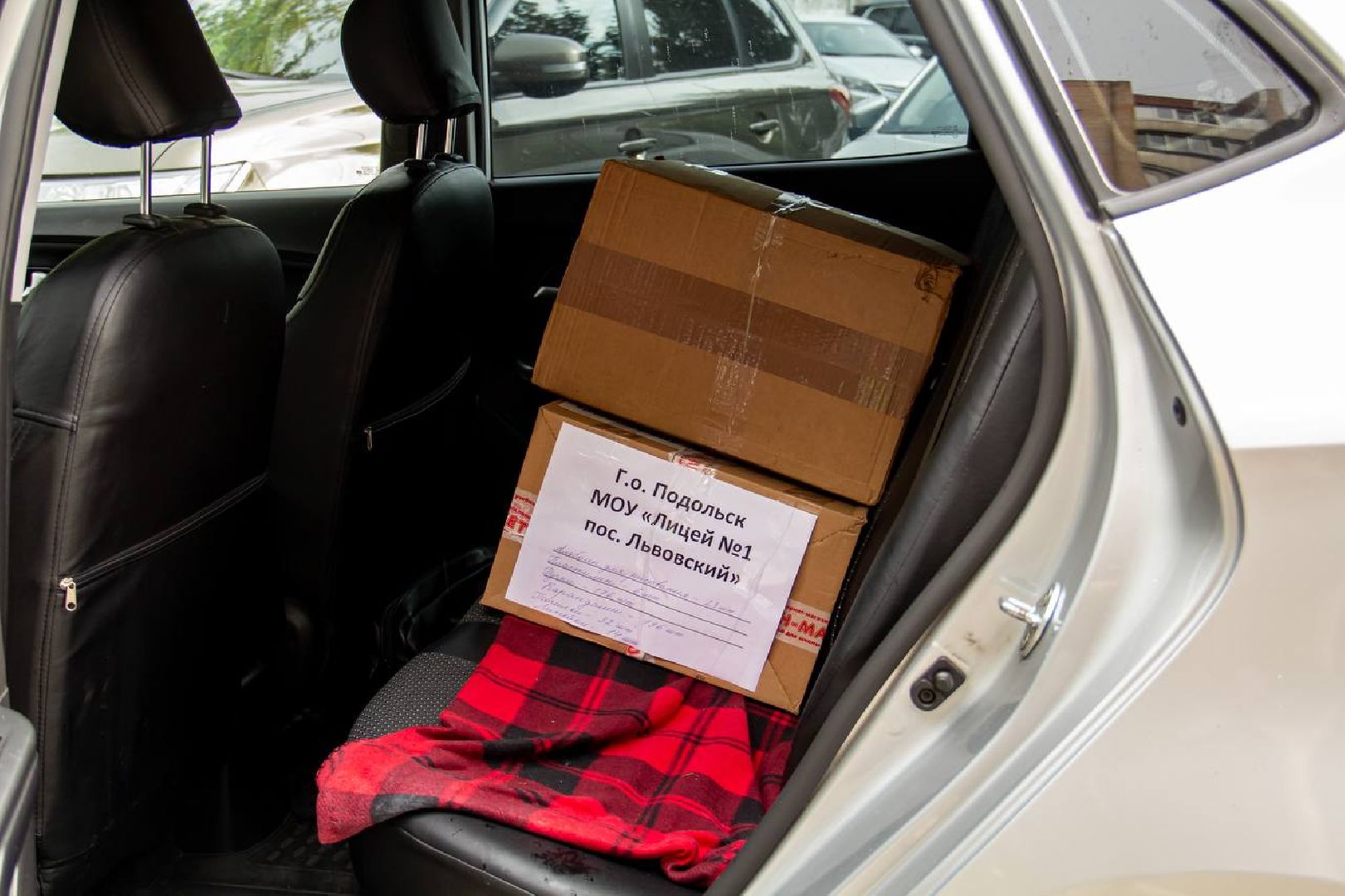 Подольск, волонтер, помощь